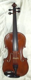 violin