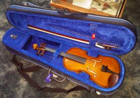 violin