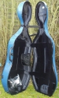 Case
